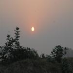 Vraj-Yatra-2014- (98)